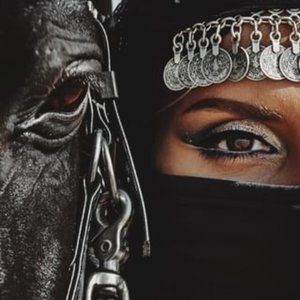 Royal Highness Ladies Zip Up Fitted Western Show Shirt (video)